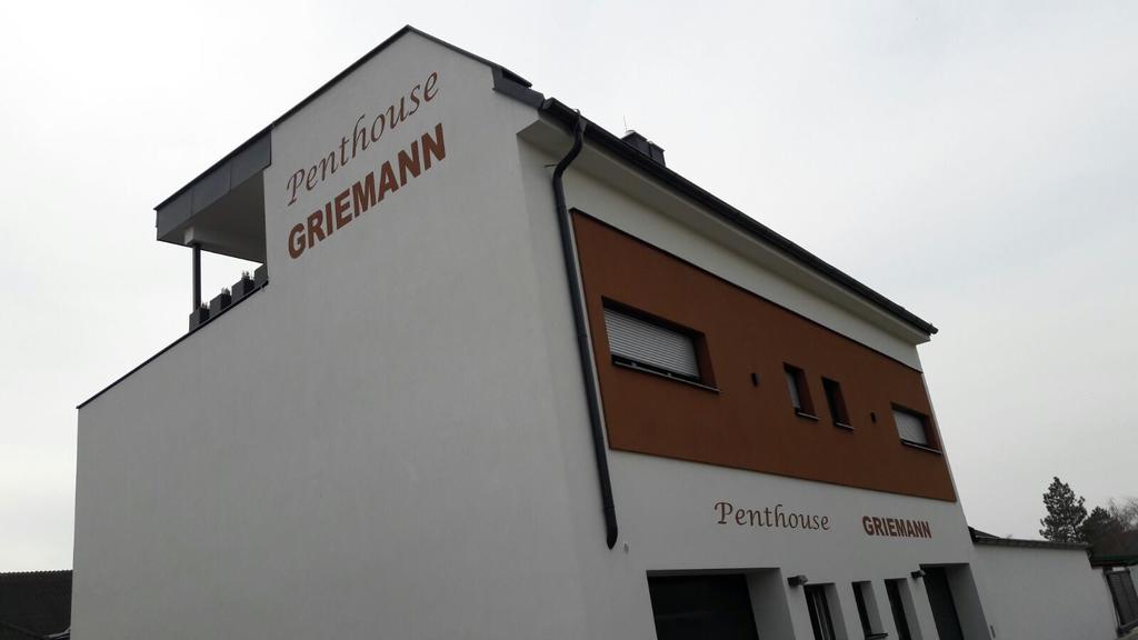 Penthouse Griemann 2 Fuer Max 4 Personen Mit Eigener Grosser Dachterrasse Zum Relaxen! Illmitz Buitenkant foto